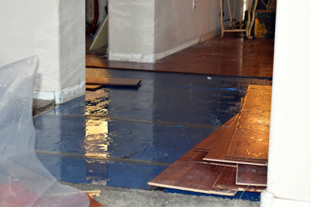 Professional Flood Damage Restoration technician working in Madisonville, TX